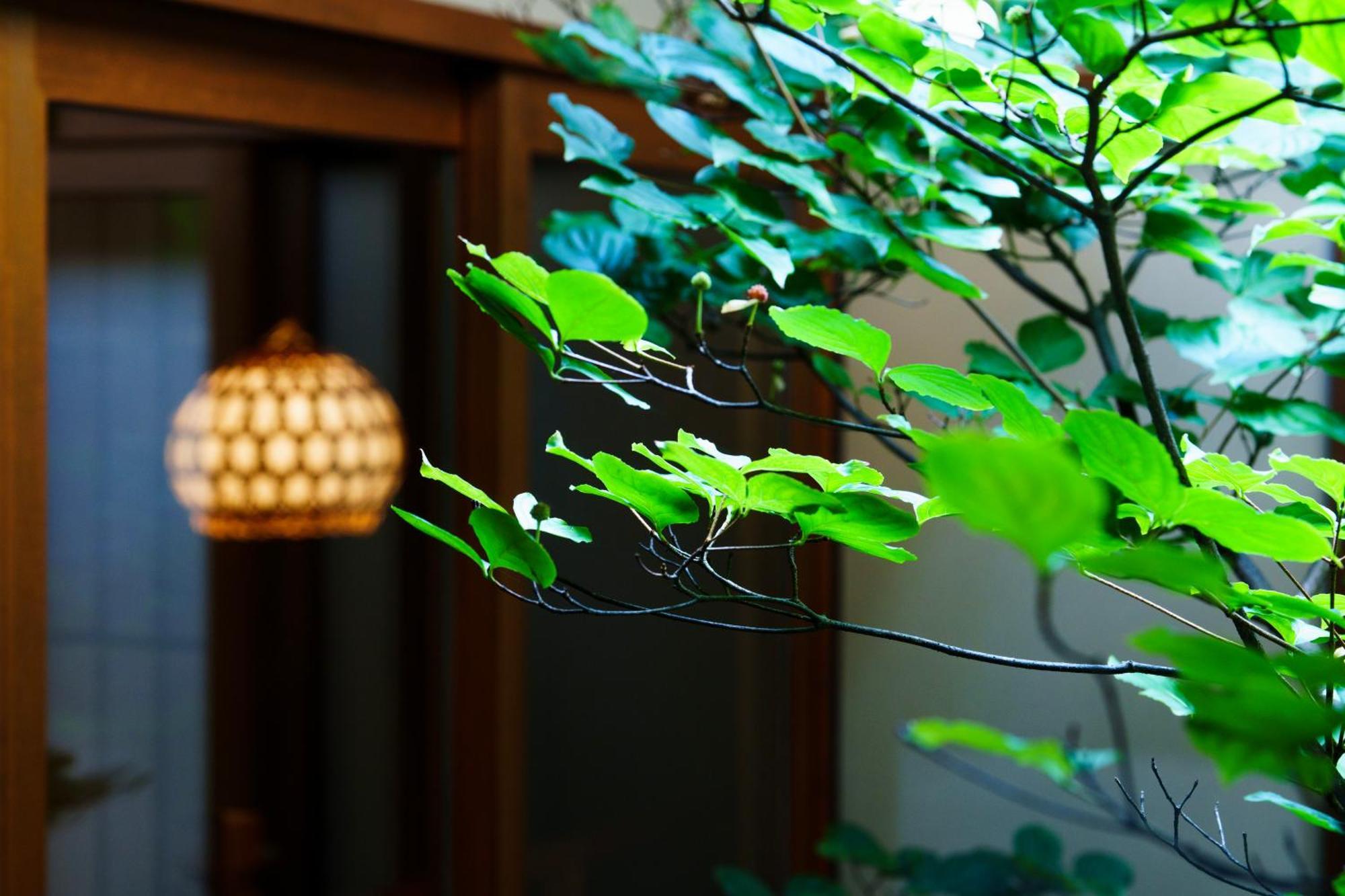 Villa Hotori Kyōto Esterno foto